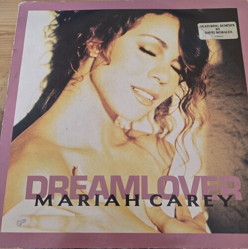 J'ai sauvé mon vinyle de Dreamlover d'une inscription au marqueur